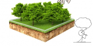 Đất lấn chiếm có được cấp sổ đỏ không?