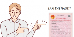 Dịch vụ cấp sổ đỏ lần đầu?