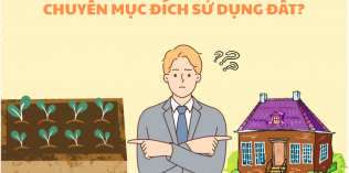 Hồ sơ chuyển mục đích sử dụng đất bị từ chối xử lý thế nào?