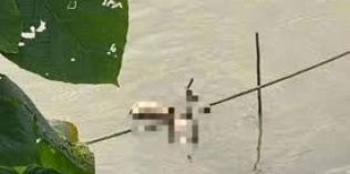 Vụ án phân xác thi thể cô gái thành 4 phần 