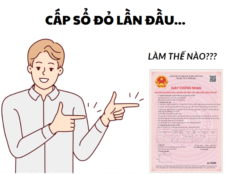 Dịch vụ cấp sổ đỏ lần đầu?