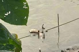 Vụ án phân xác thi thể cô gái thành 4 phần  Vụ án phân xác thi thể cô gái thành 4 phần